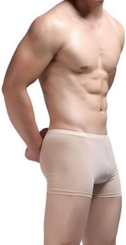 Men Sexy Boxer Shorts U Convex Pouch Lingerie Briefs Ultra Thin Bikini Soft Panties Underwear