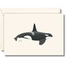 Earth Sky + Water - Orca Notecard Set - 8 Blank Cards with Envelopes