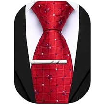 Barry.Wang Plaid Ties Mens Silk Necktie and Tie Clip Checkered Tie for Wedding Party Business Formal