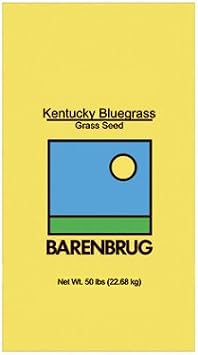 Kentucky Bluegrass
