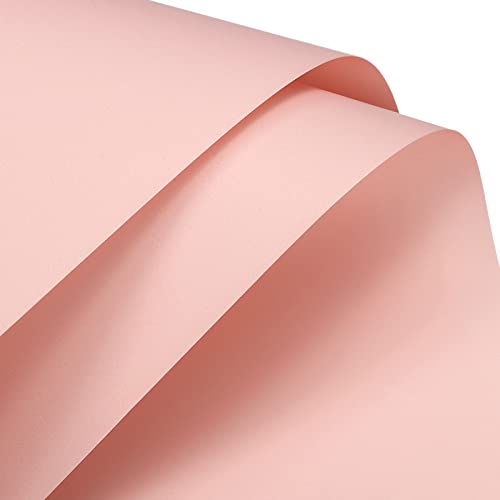 MECCANIXITY 10 Pcs Flower Wrapping Paper 22.8x22.8 Inch Waterproof Florists Wrapping Paper for Florist Bouquet Supplies, DIY Crafts, GiftGift Box Packaging Light Pink