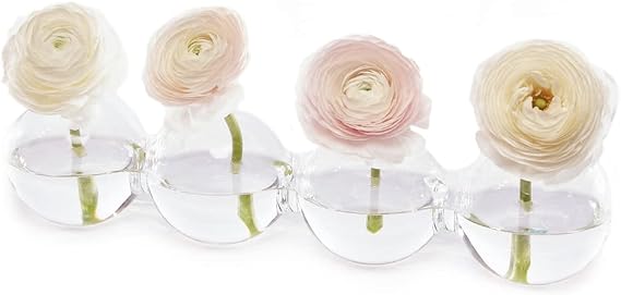 CHIVE Caterpillar Bubble Bud Vase for Centerpieces 4 Hole Multi Chamber Clear Glass Flower Vase for Short Flowers Large, 13 Long