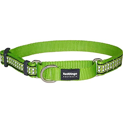 Red Dingo Martingale Collar Reflective Bones, Medium-Large, Lime Green