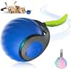 Catnat Electric Cat Toy Intelligent Cat Ball Electric Interactive Toy Interactive Cat Toy Self-Employment Cat Ball for Cats Dogs (1 Piece Blue)