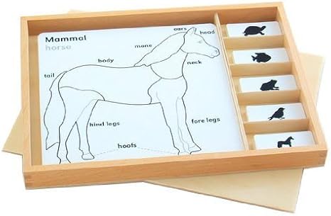 Elite Montessori Animal Puzzle Activity Set