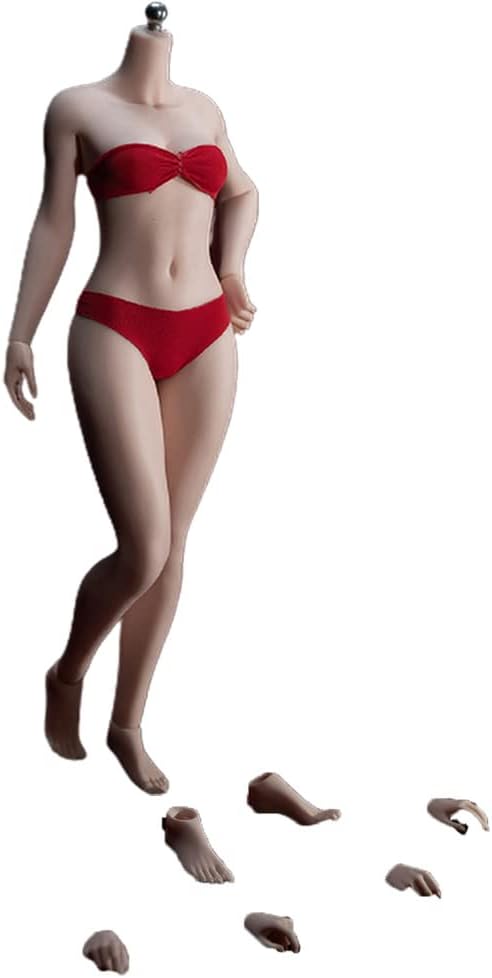 1/6 Scale Female Super Flexible Seamless Figure Body Steel Bone Well-Proportioned Small Breasts 12 Inch Collectible Action Figures with Pale Skin(PLSB2021-S46B)