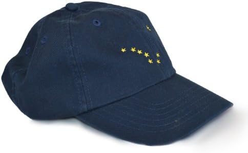 Ann Arbor T-shirt Co. American 50 States Pride Flag Baseball Low Profile Dad Hat for Men Women