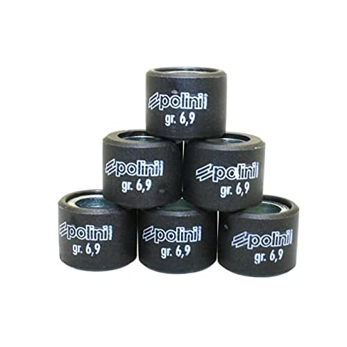 Polini Roller Weights compatible with Ruckus