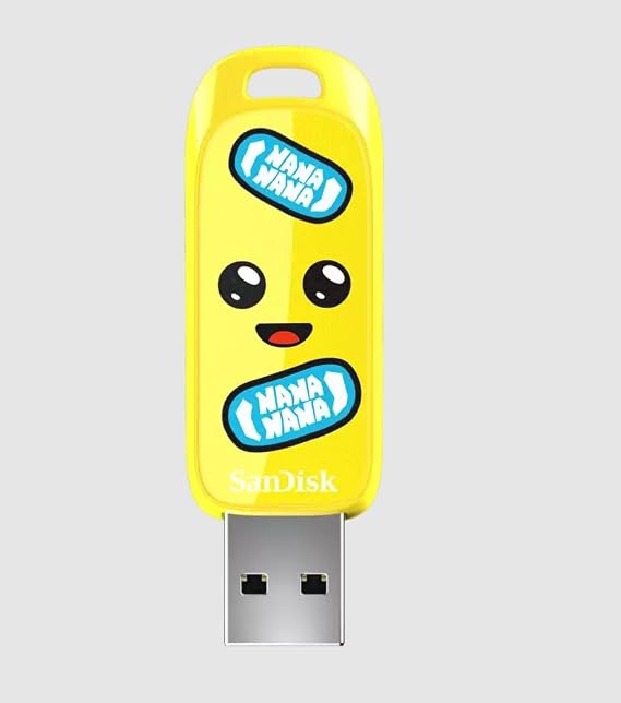 SanDisk Fortnite USB Flash Disk 64 GB