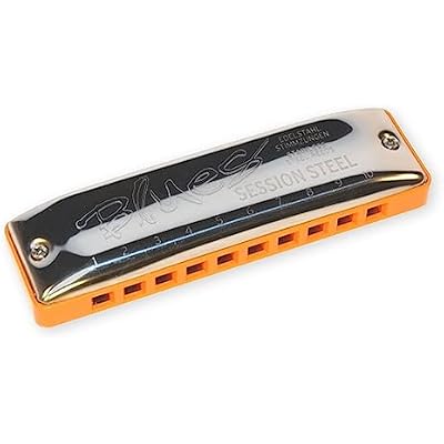 SEYDEL Blues SESSION STEEL Harmonica Low C