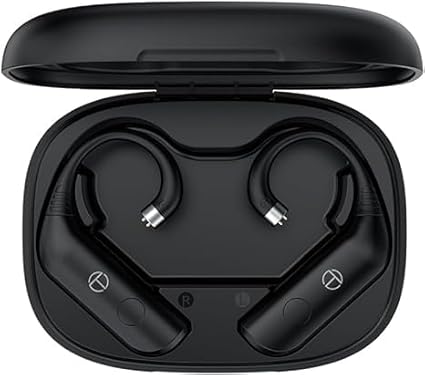 Fanmusic TRN BT20 Pro True Wireless Bluetooth 5.3 Earphone Module Swappable connectors (Headphones not Included) (2pin-S)
