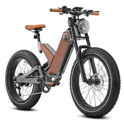 eAhora P5 II 34Mph Peak 1700W Electric Bike for Adults, 48V 20Ah Removable Battery, 80-120Miles Long Range Ebike, 244.0 Fat Tire Electric Mountain Bike, Full Suspension, Unibody Magnesium Alloy Frame