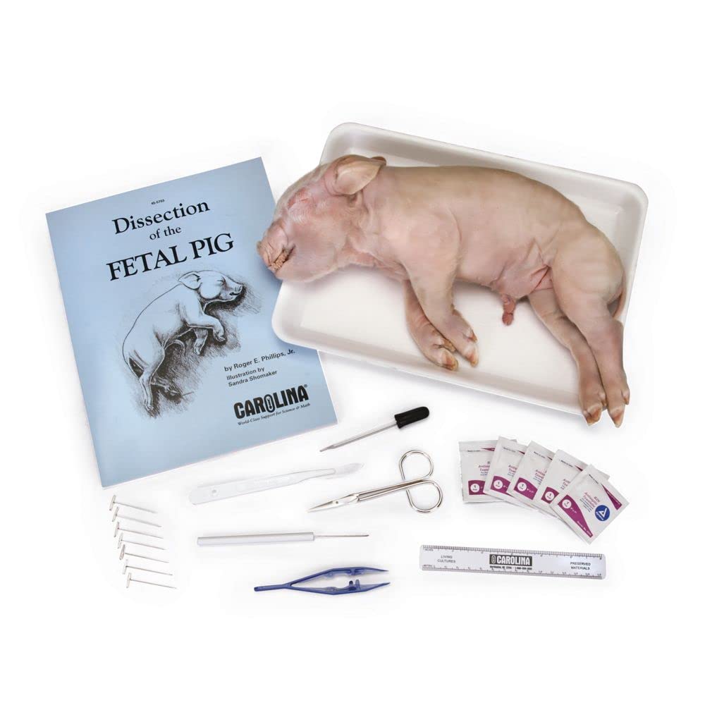 Carolina Biological Supply Pig Anatomy Kit - Single Station Kit For 1-2 Student School Dissection | Student Dissecting Set, Disposable Foam Tray, Hand Wipes, And Plastic Storage | Includes Dissection