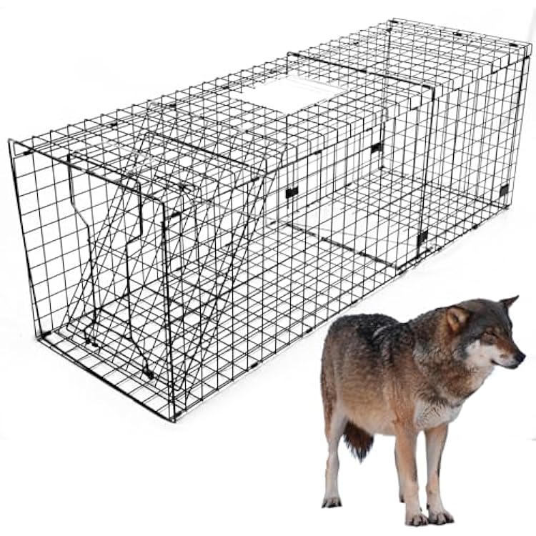 Heavy Duty Live Trap 59x20x22 Inch Extra Large Steel Collapsible with Humane Trap Release Door for Large Dogs, Foxes, Coyotes, Bobcats and Other Live Animals.