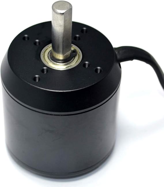QWinOut High Efficiency 6374 170KV Brushless Motor 2800W 24V/36V for Three/Four-Wheel Balancing Scooters Electric Skateboards No Motor Holzer