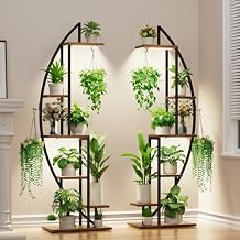 BACEKOLL Plant Stand Indoor with Grow Lights, 6 Tiered Tall Plant Shelf, 63" Metal Plant Stand for Indoor Plants Multiple, Half-Moon Plant Rack Display Shelf, 2 Pcs Plant Holder for Living Room, Patio