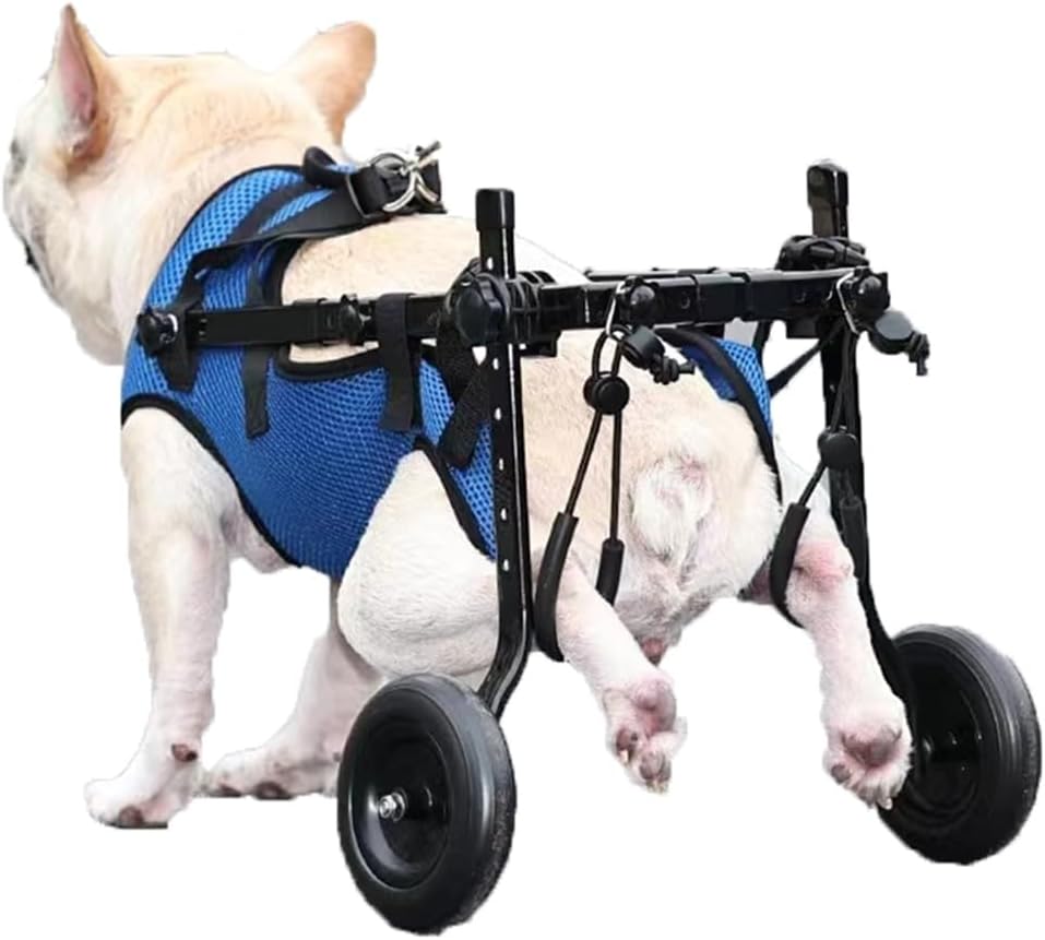BLUEZY Adjustable Dog Wheelchair for Hind Legs Rehabilitation, Light Aluminum cart pet/Dog Wheelchair, Dog Wheelchairs Walkin Wheels, 2 Wheels Adjustable for Disabled Dogs M