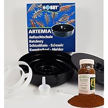 Brine Shrimp Hatchery Dish + 3 Months Supply of Brine Shrimp Eggs (1.75oz Grade A)