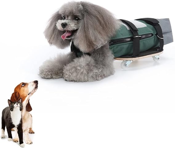 Drag Bag for Disabled Dogs,Dog Protect Bag with Wooden Scooter for Indoor and Outdoor,Dog Wheelchair Alternative for Paralyzed Pets Protects Chest and Limbs|Green (M)