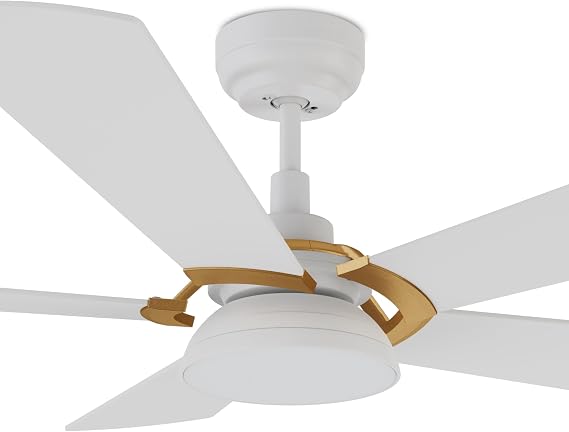 SMAFAN 52 Smart Ceiling Fan With Lights, Low Profile Ceiling Fan With 10 Speeds, Silent DC Motor, Modern Style Compatible with Alexa, Siri, Google & Smart App,Indoor & Outdoor, White