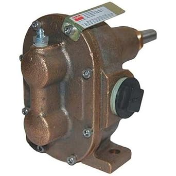 Rotary Gear Pump Head, 1 in, 1 HP