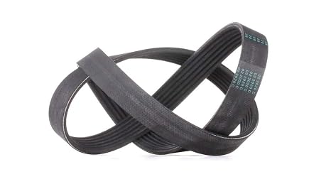 Continental CTAM V-Ribbed Belt