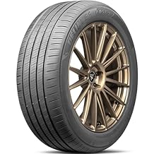 Delinte DST 2 Truck/SUV All-Season High Performance Radial Tire-295/40R21 295/40ZR21 295/40/21 295/40-21 111W Load Range XL 4-Ply BSW Black Side Wall UTQG 560AA