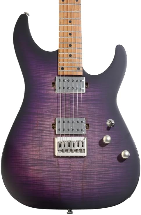 Schecter C-1 Standard Plus Electric Guitar - Purple Burst