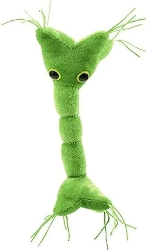 GIANT MICROBES Nerve Cell Plush, Neuron Plush, Neuroscience Gift, Neurology Gifts, Science Plushies, Neuron Model Anatomy, Psychology Gifts, Psychology Decor, Brain Gift, TBI, MS Awareness
