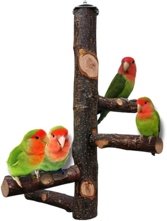 Bird Stand Perch, Natural Wood Parrot Perch for Parrots, Small Parakeets, Cockatiels, Macaws, Love Birds, Finches