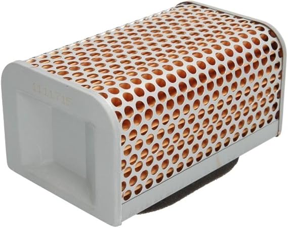 Hiflofiltro HFA2504 Premium OE Replacement Air Filter