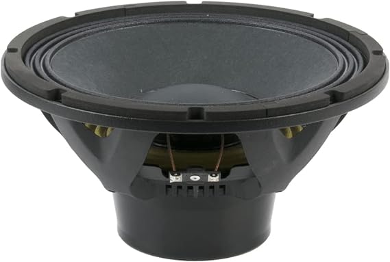 Beyma 10" 700w/8 Ohms