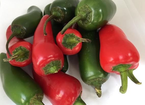 Fresh Red Fresno & Fresh Jalapenos Chile Peppers