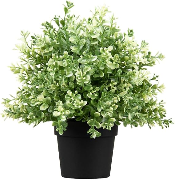YZZY Faux Plants Pinecone Indoor with Black Plastic Pots, Fake Plants Orchidfor Home Decor, Artificial Potted Eucalyptus for Living Room Office Decoration (FY159 -Thyme -S, 1pcs)