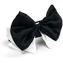 Platinum Pets Formal Dog Bow Tie and Collar, 11-12-Inch, White