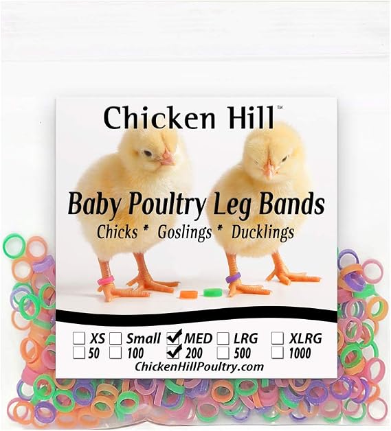 Baby Poultry Leg Bands 1/4" Medium Chick (200)