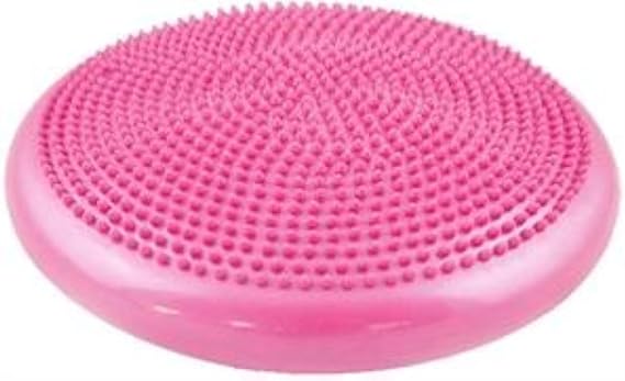 Therapists Choice Inflated Air-Filled Stability Balance Disc-Pink