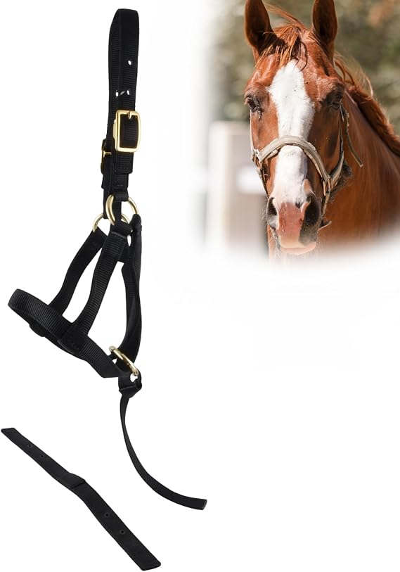 Jeffers Equine Nylon Weanling Halter for Miniature Horses Adjustable 2 Ply 3/4" Webbing with Brass Plated Hardware, Double Crown Design, Lightweight for Training, Grooming, Farm Use - Black