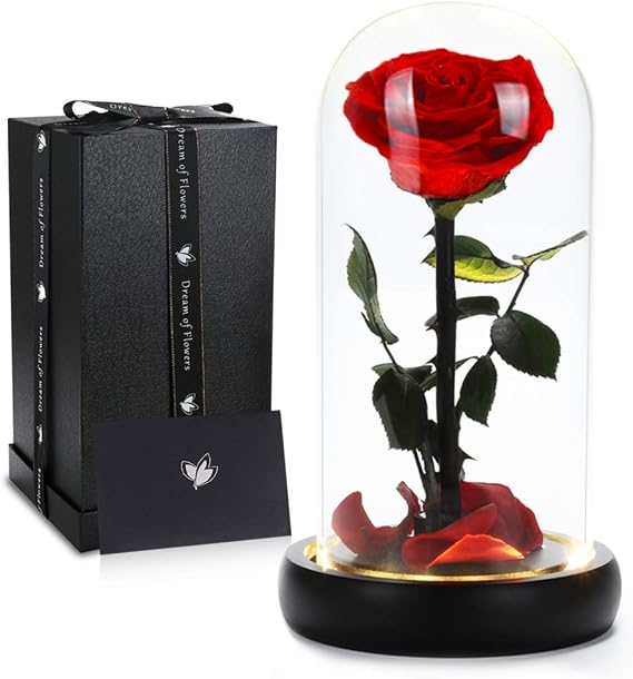 Mothers Day Rose Flower Gifts, Beauty and The Beast Rose Gifts for Women Wife Mom Girlfriend,Preserved Real Rose in Glass Dome,Forever Flowers with Warm Lights,Birthday Gifts for Women