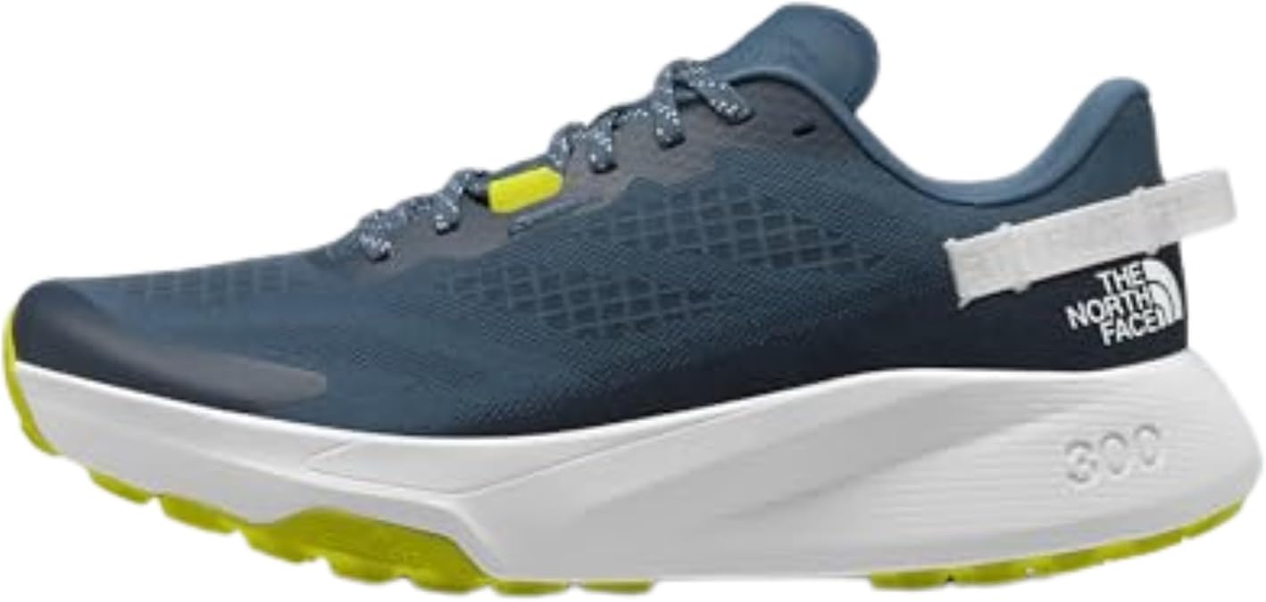 THE North FACE Men's Altamesa 300Trail Running Shoe