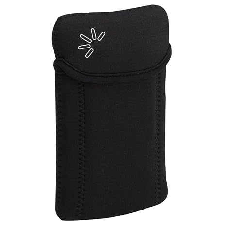 Nintendo DS Game System Case