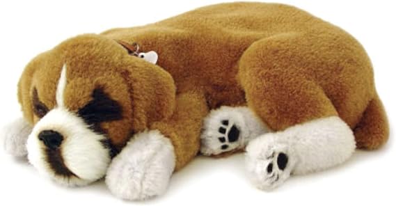 Perfect Petzzz Boxer