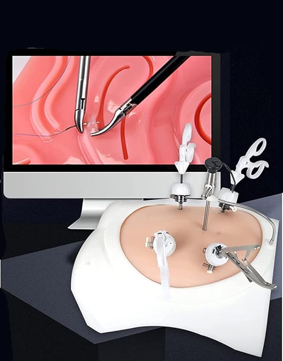 Human Abdominal Simulation Box Laparoscopic Trainer Simulator Training Box Realistic Exercise Bag Laparoscopic Surgery 4 Training Devices 9 Training Modules Practical Training