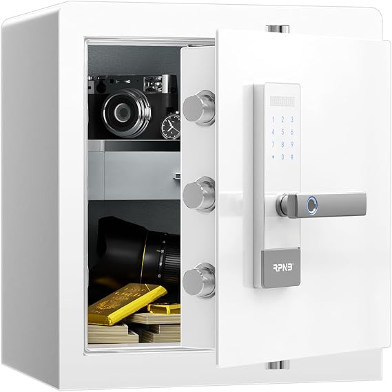 RPNB Home Safe Box,Personal Money Safe,Biometric Cabinet Safes,45 L