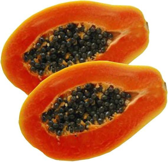 Florida Red Royale Papaya (Carica Papaya) - Grow Now or Store for Future Planting - Capsule of 5 Seeds