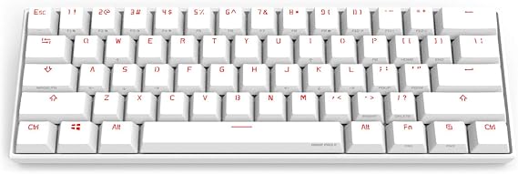 Mechanical Gaming Keyboard 60% True RGB Backlit - Wired/Wireless Bluetooth 5.0 PBT Type-c Up to 8 Hours Extended Battery Life, Full Keys Programmable (Gateron Brown, White)
