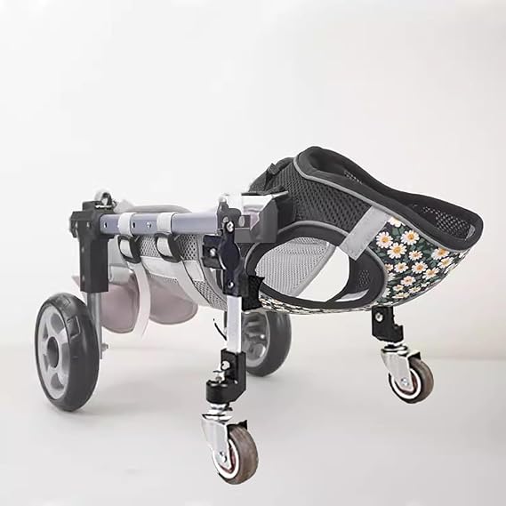 Dog Wheel Chair, Front Back Wheels Dog Mobility Aid Wheelchair Adjustable, Small Medium Large Dogs Leg Brace for Paralysis Injury Doggy, Pet Trolley,4 Wheel,Medium