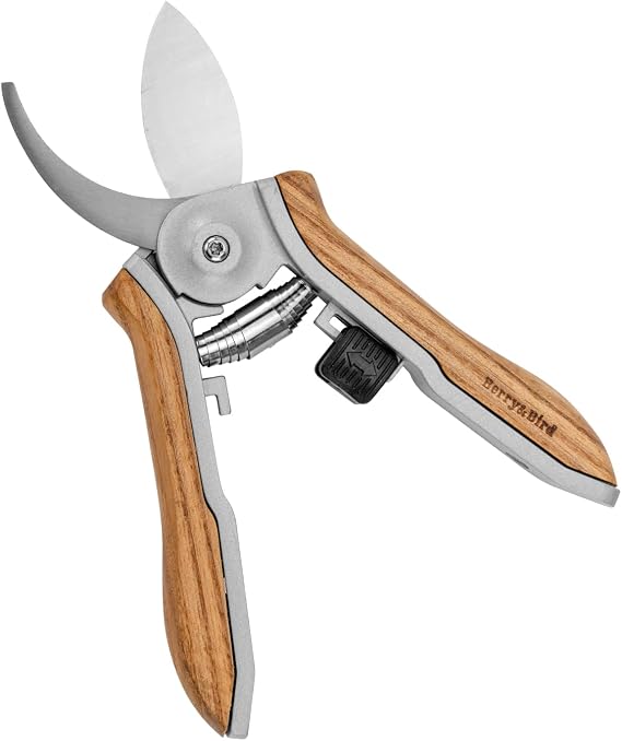 Berry&Bird Wooden Handle Mini Pruning Shears, Curved Blade Stainless Steel Hand Garden Scissors, Gardening Snips, Small Pruners for Cutting Grass, Bonsai, Flowers, Trimming Plant Secateurs Clippers