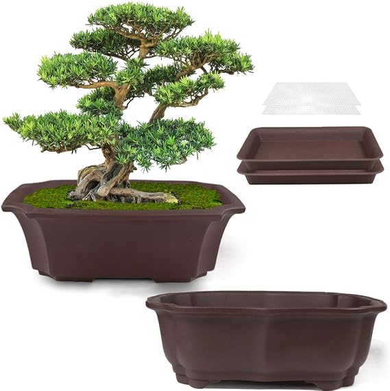 MUZHI 2 Pack 8" Unglazed Ceramic Bonsai Tree Pot Training Planter with Drainage Wiring Hole, Breathable Handmade Zisha Pottery Growing Plant Pot with Mesh Drip Tray Indoor Outdoor