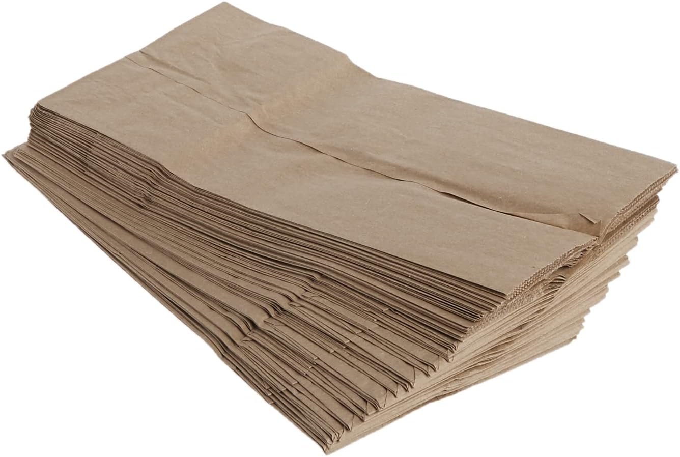DollarItemDirect LUNCH BAGS, brown